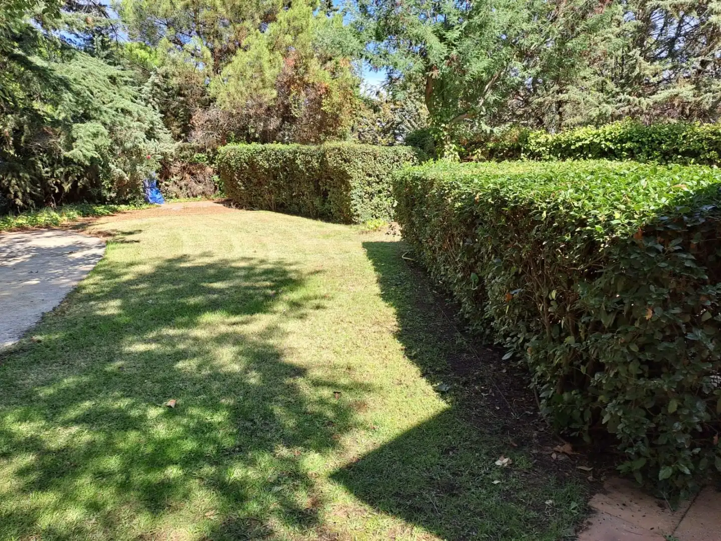 Villa mit Garten zum Verkauf in Calle Santa Teresa 18, imagen 4