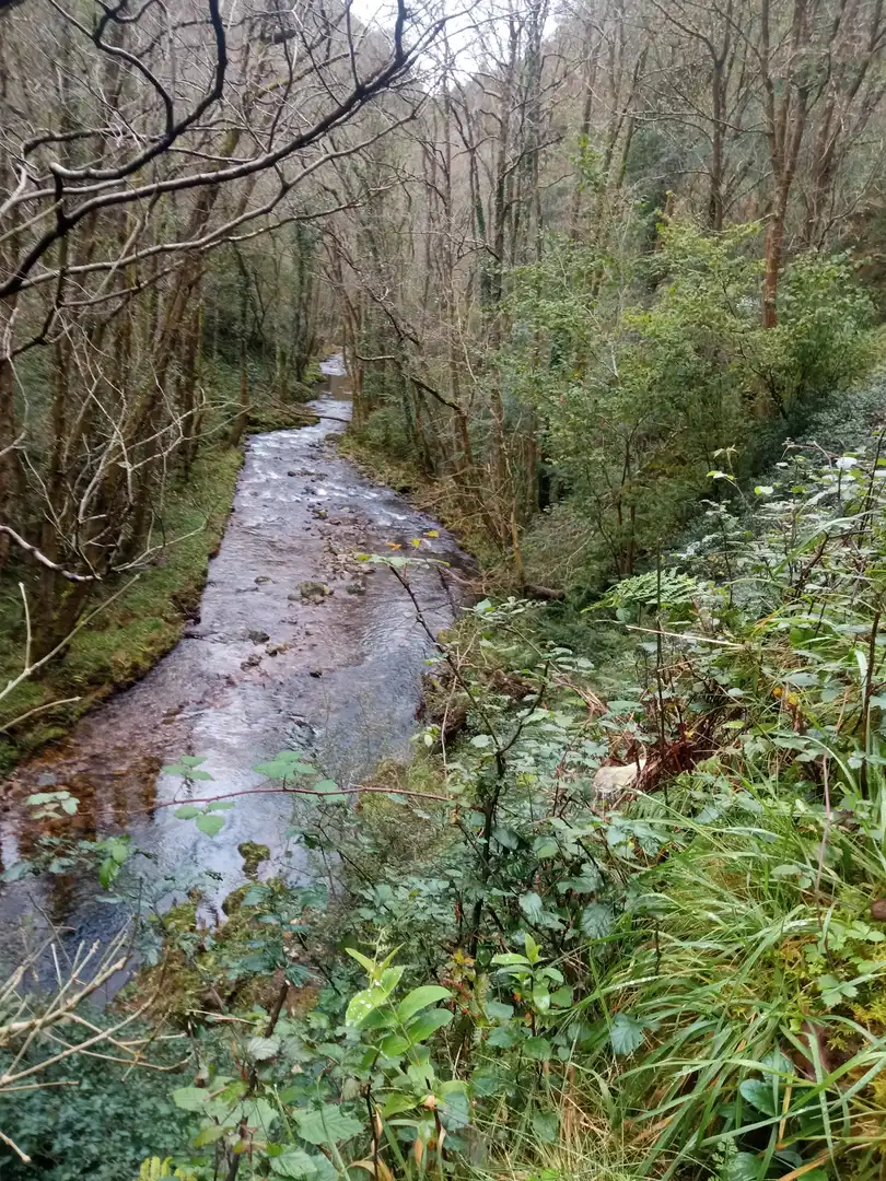 Vista exterior de Finca rústica en venda en Cudillero amb Jardí privat