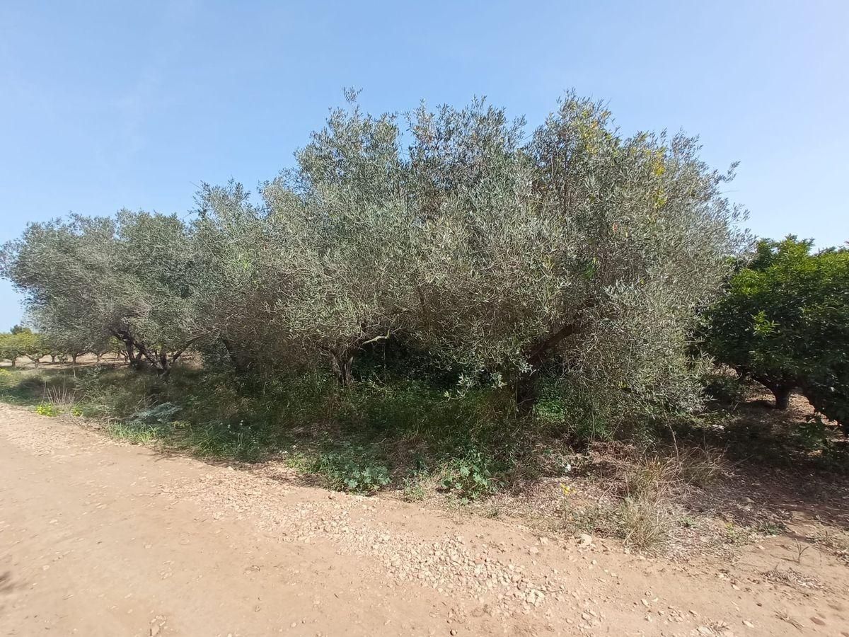 Finca rústica en venta en Valletes - Xiribecs
