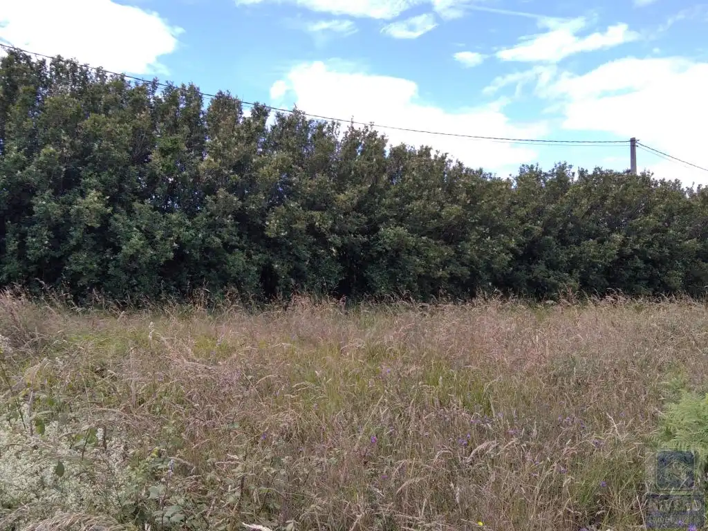 Terreno rustico in vendita a Santa María del Mar - El Puerto, imagen 17
