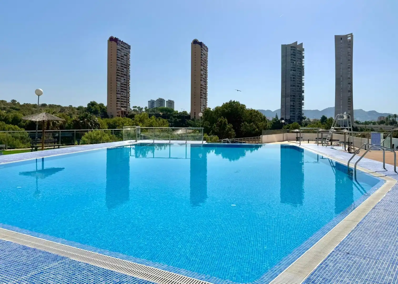 Swimming pool of Apartments for sale in Benidorm  with Terrace, Storage room and Furnished