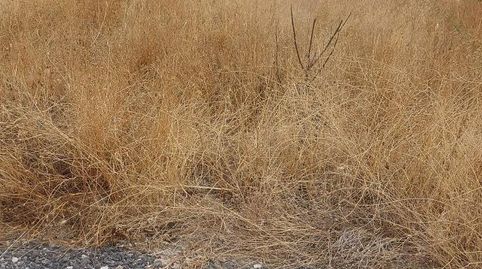 Foto 4 de Terreno en venta en Puente Tablas - Puente Nuevo - Cerro Molina, Jaén Capital