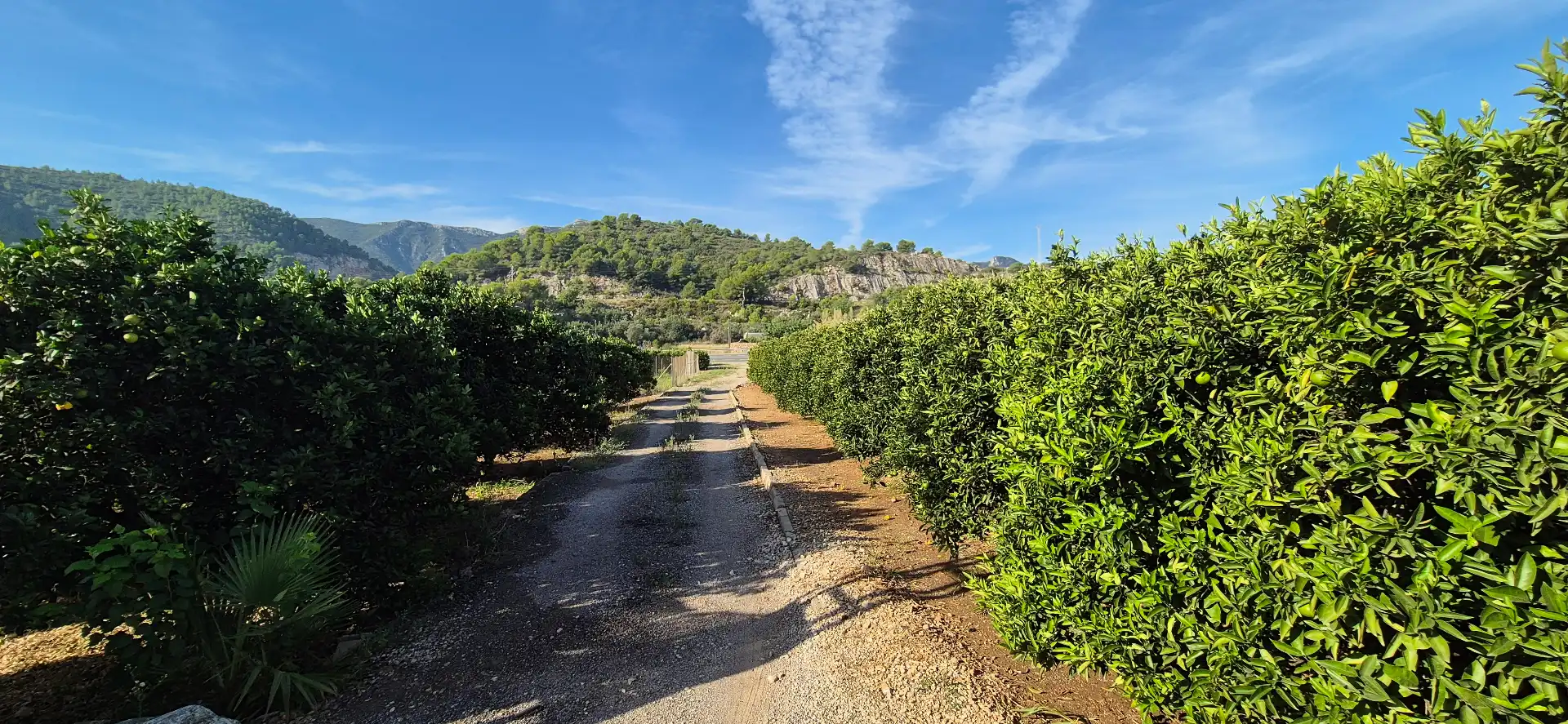 Vista exterior de Finca rústica en venta en Favara con Jardín privado, Terraza y Piscina