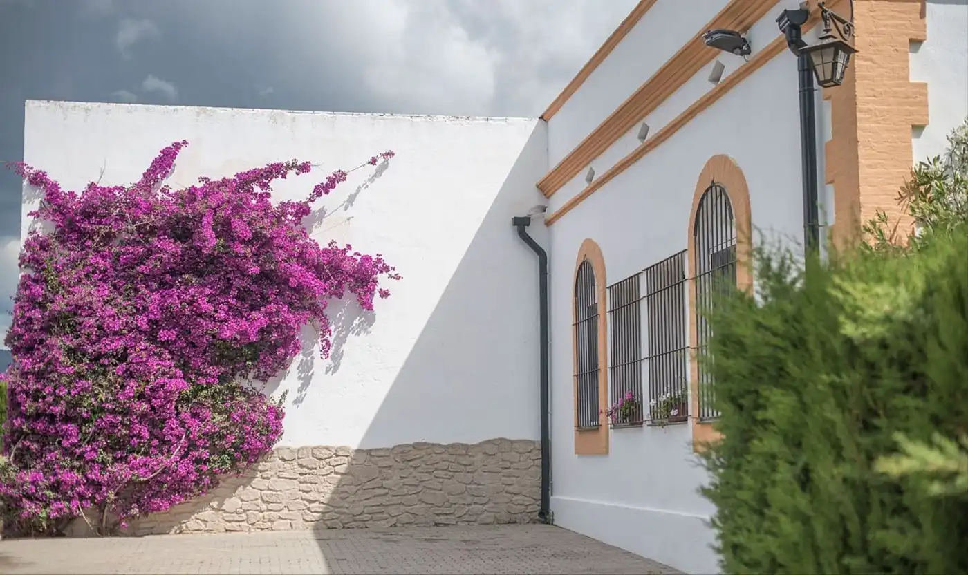 Haus mit Terrasse zum Verkauf in Carrer Sant Francesc, imagen 34
