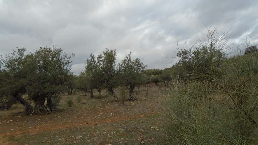 Residential for sale in Quer