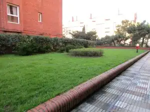 Gewerbefläche zur Miete in Las Arenas, imagen 4