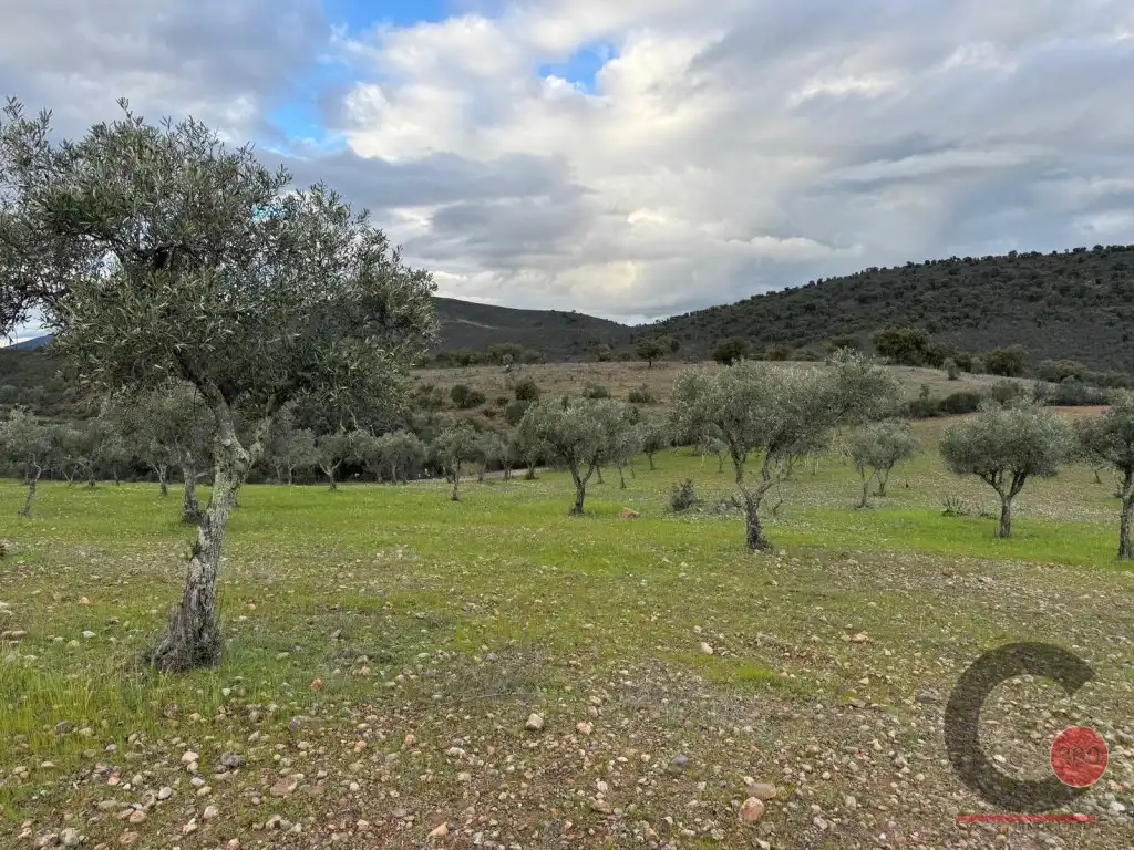Casa o xalet en venda en Cáceres