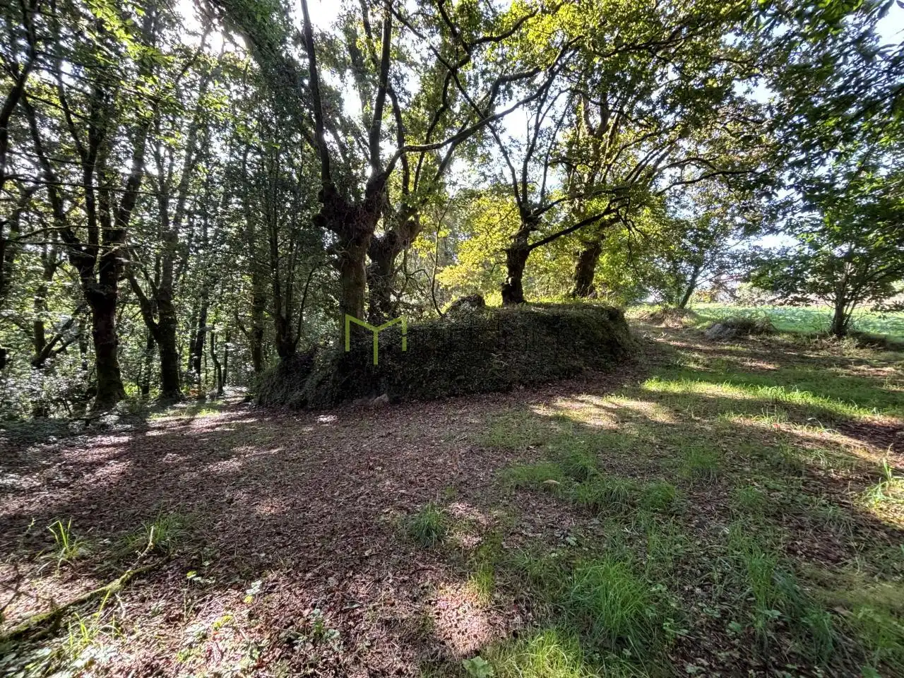 Finca rústica en venda en Ames amb Calefacció i Jardí privat