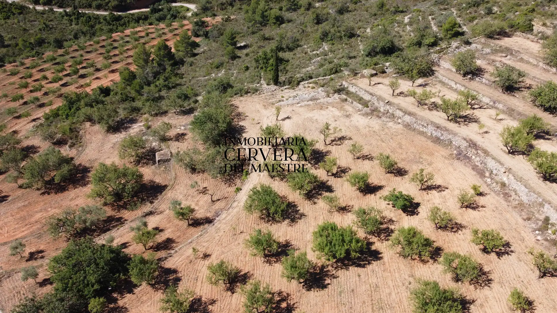 Rural land for sale in Cervera del Maestre, imagen 21