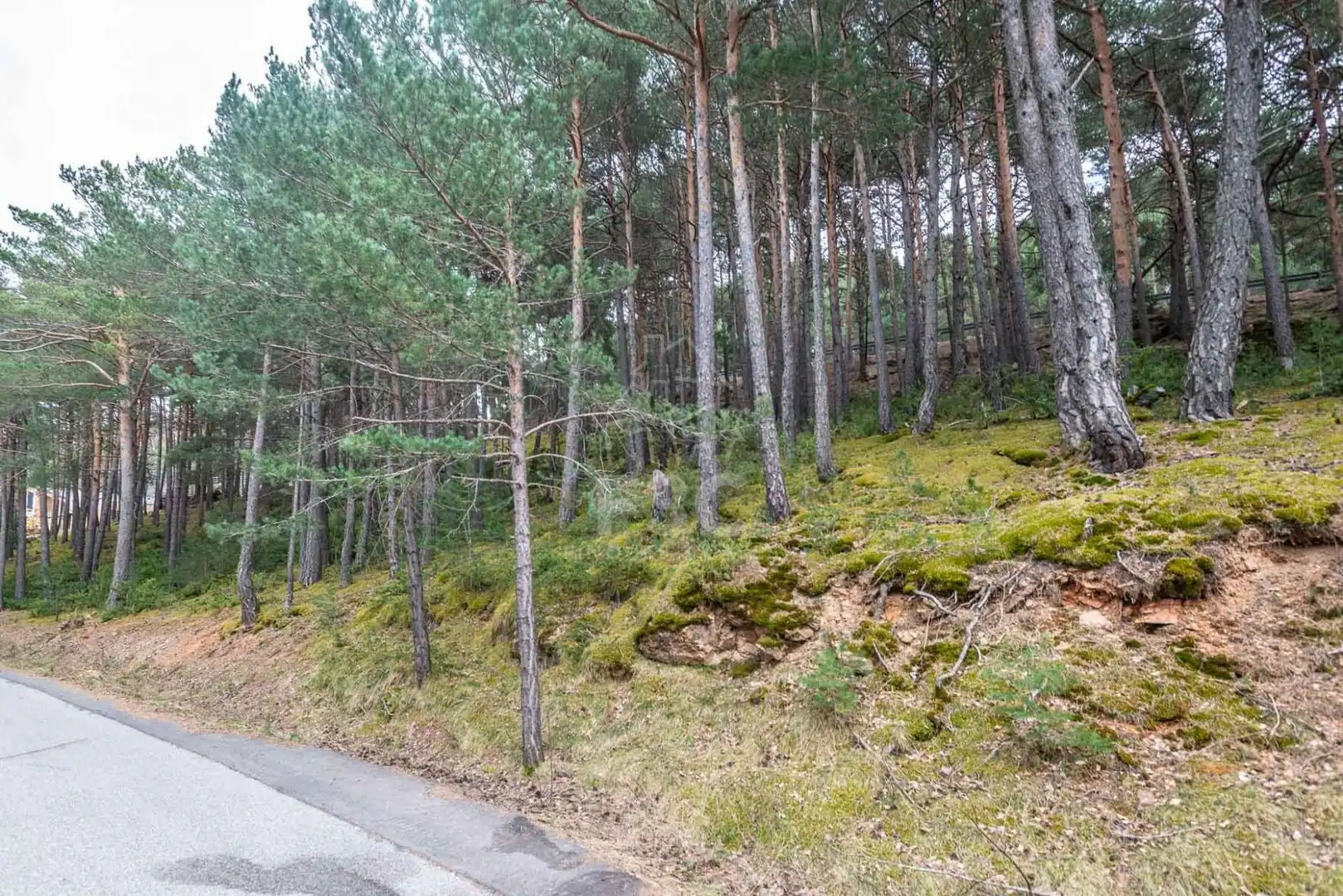 Terreno en venta en Aubinyà - Juberri