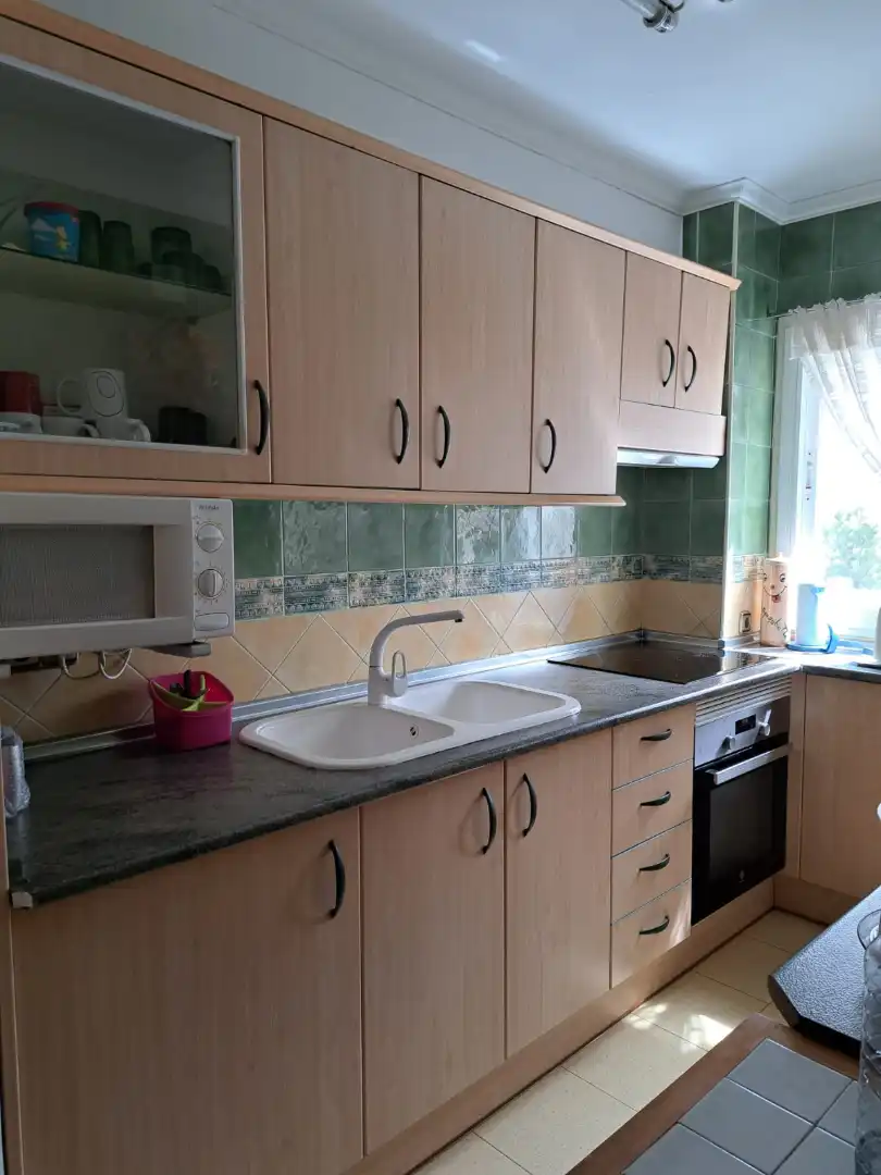 Kitchen of Apartments for sale in Benidorm  with Air Conditioner, Terrace and Furnished