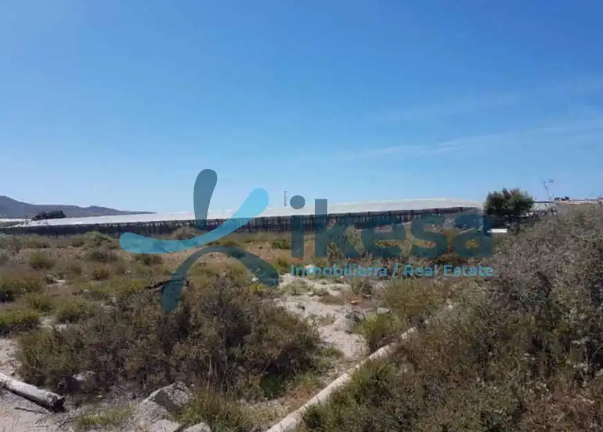 Terrain rustique à vendre à Níjar pueblo, imagen 2