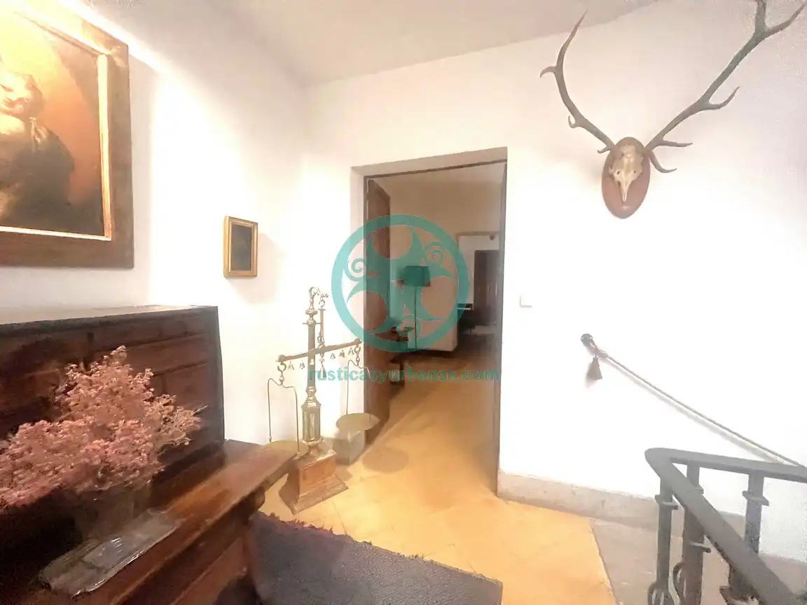 House with terrace for sale in Calle Tintoreros, imagen 23
