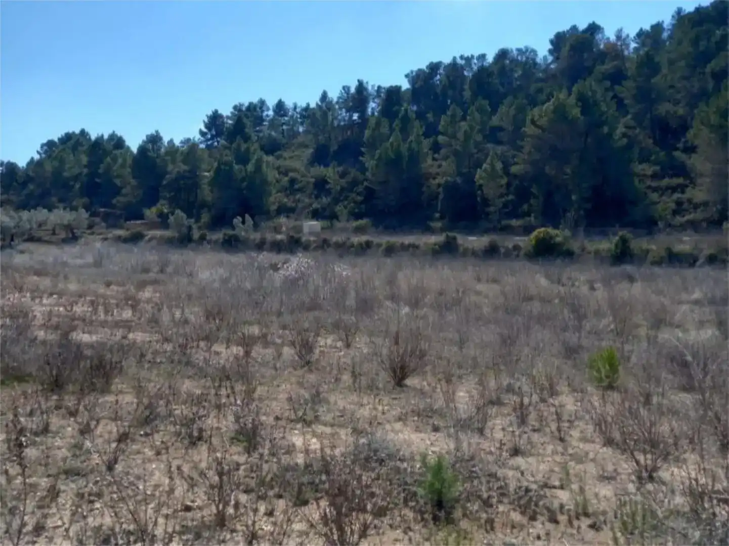 Terreno en venta en Corbera d'Ebre
