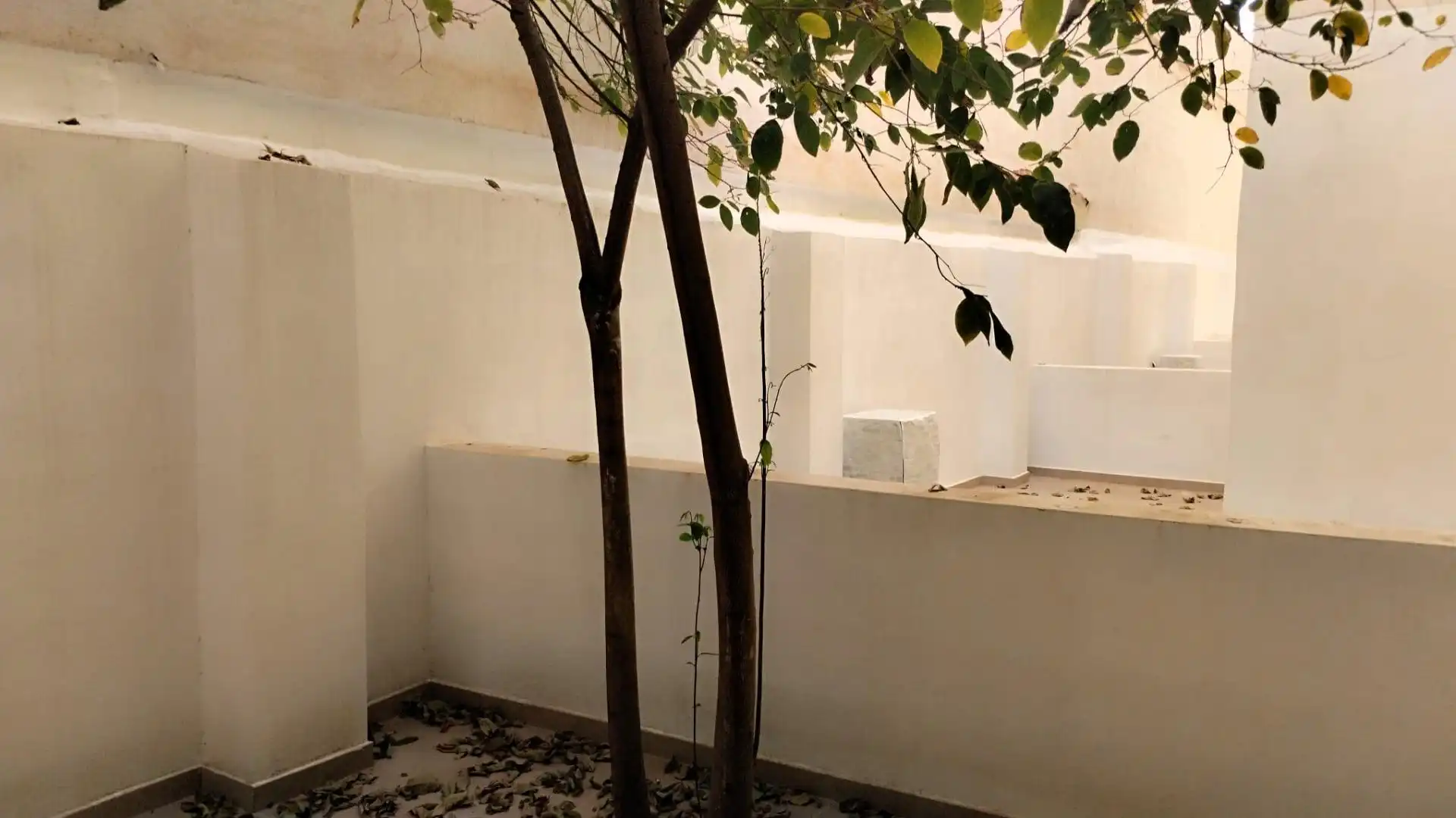 Terrace of Ground floor for sale in Xirivella  with Air Conditioner, Terrace and Furnished