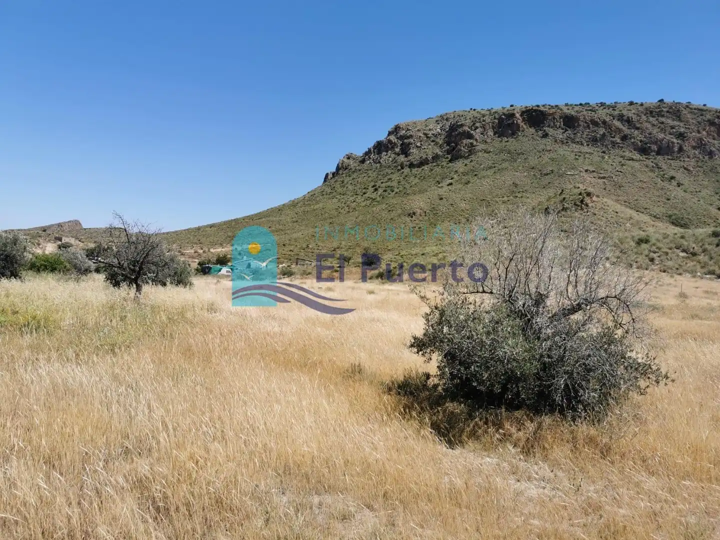 Terrains et parcelles à vendre à Pedanías Sur