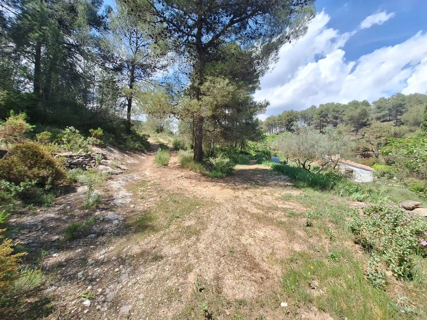 Finca rústica en venta en Alcoy / Alcoi con Trastero y Amueblado
