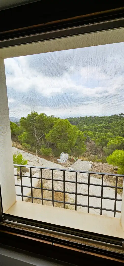 Jardín de Casa o chalet en venta en Totana con Calefacción, Jardín privado y Terraza