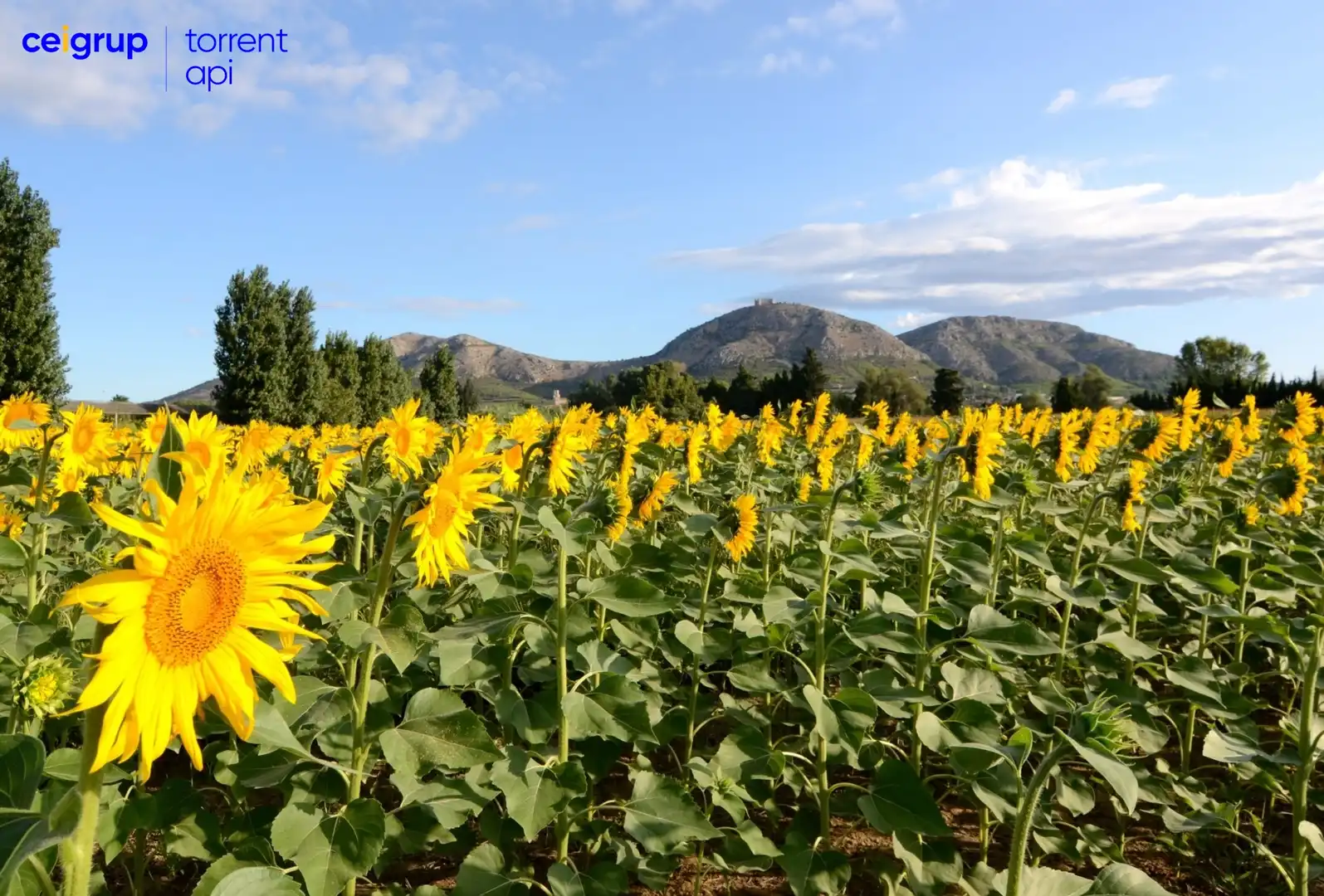Terrenys i solars en venda a Torroella de Montgrí, imagen 3