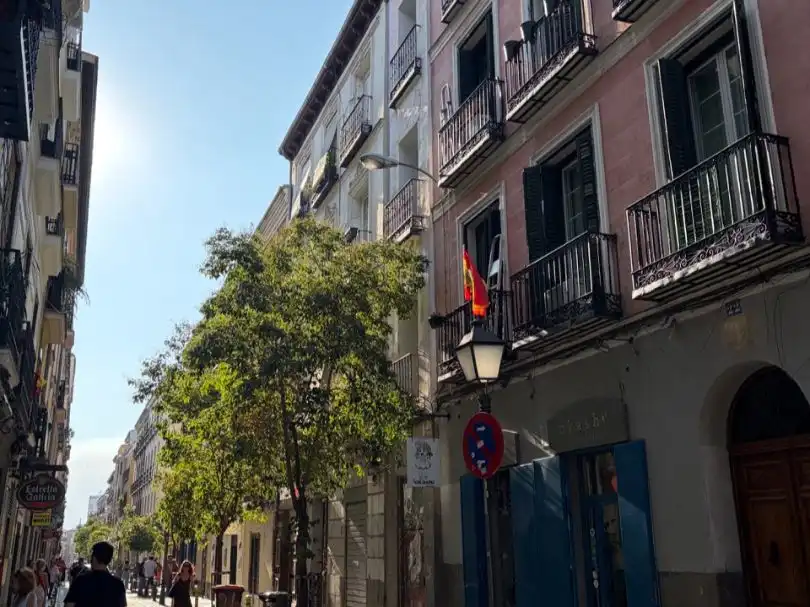 Studio à vendre à Calle de San Vicente Ferrer 26, imagen 22