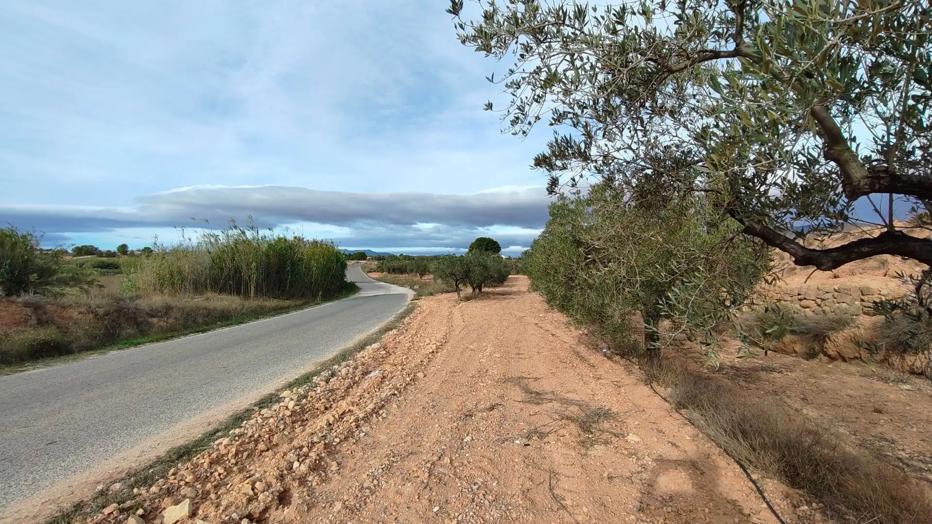 Rural land for sale in Monóvar  / Monòver, imagen 2