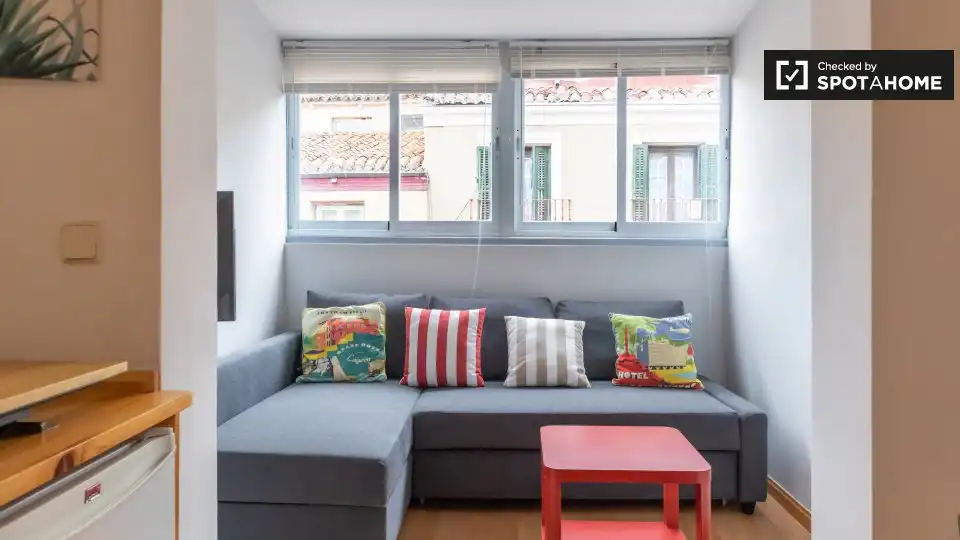 Piso con terraza en alquiler en Centro, imagen 10