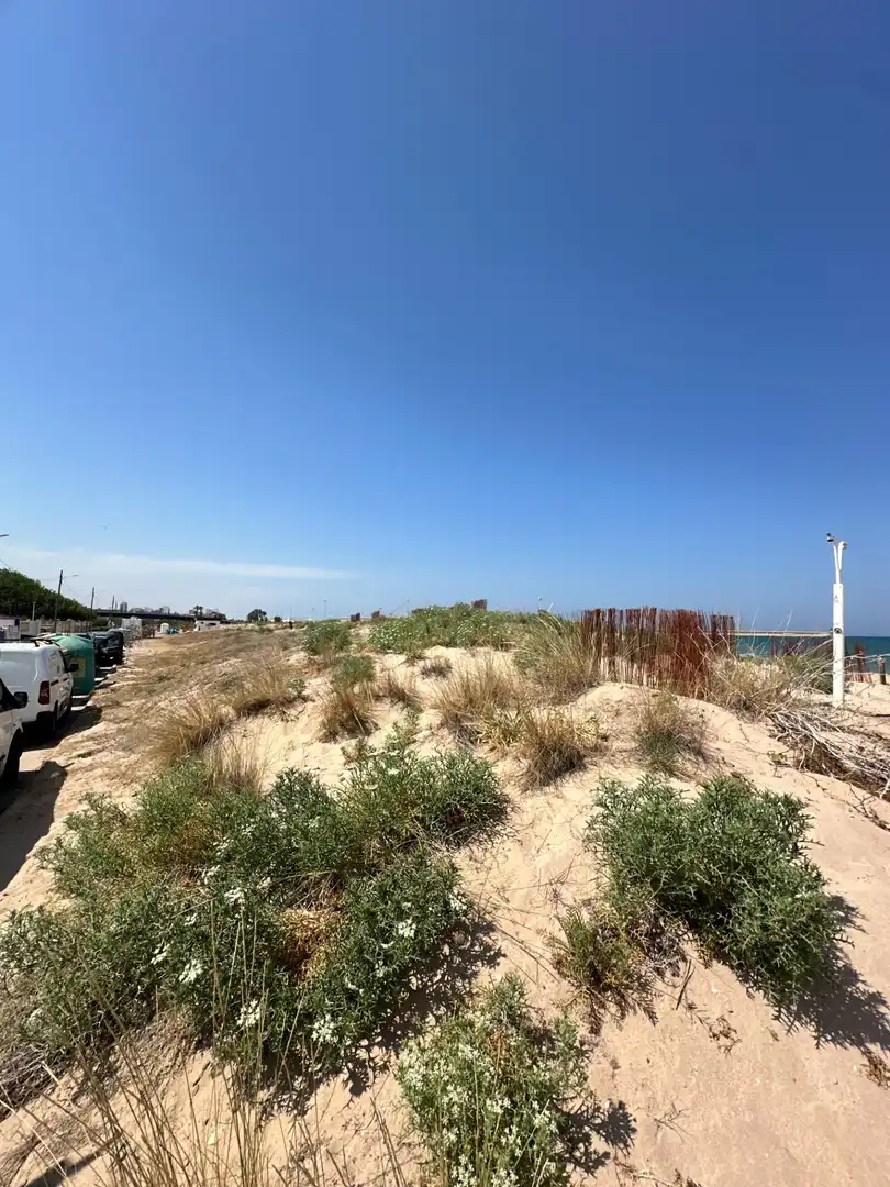 Pis de lloguer en Gandia amb Terrassa, Moblat i Balcó