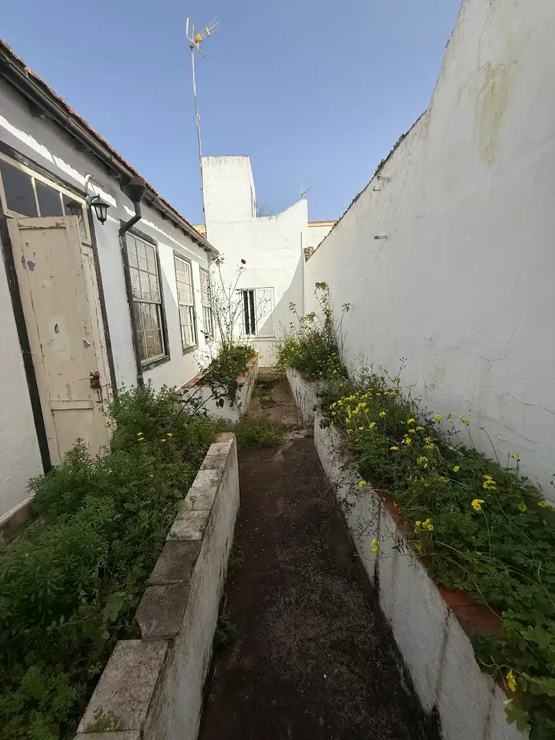 Garden of Houses for sale in San Cristóbal de la Laguna  with Private garden and Terrace