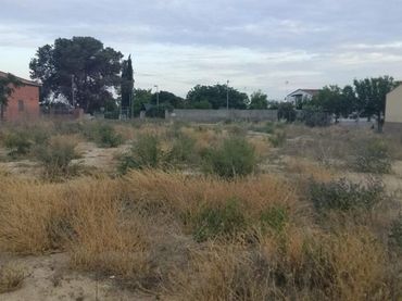 Terrenys i solars en venda a Vilanova de Segrià