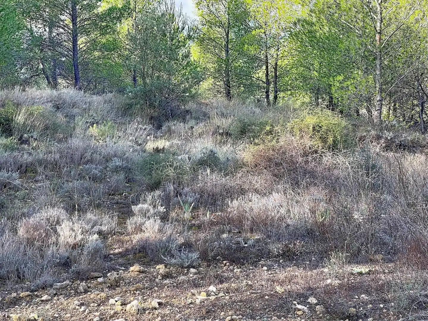 Wohnbaugrundstück zum Verkauf in Muro de Alcoy, imagen 10