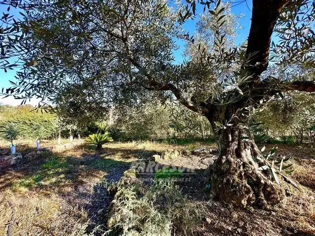 Finca rústica en venta en Adamuz
