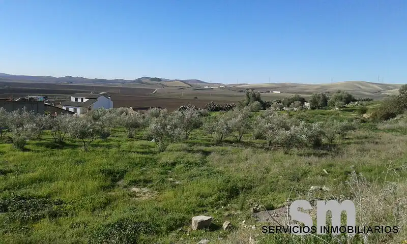 Terrenys i solars en venda a Espera, imagen 4