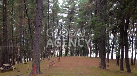 Photo 3 of Country house for sale in La Navata, Galapagar