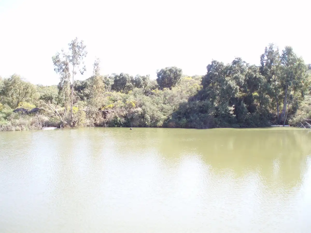 Residencial en venda en Mijas