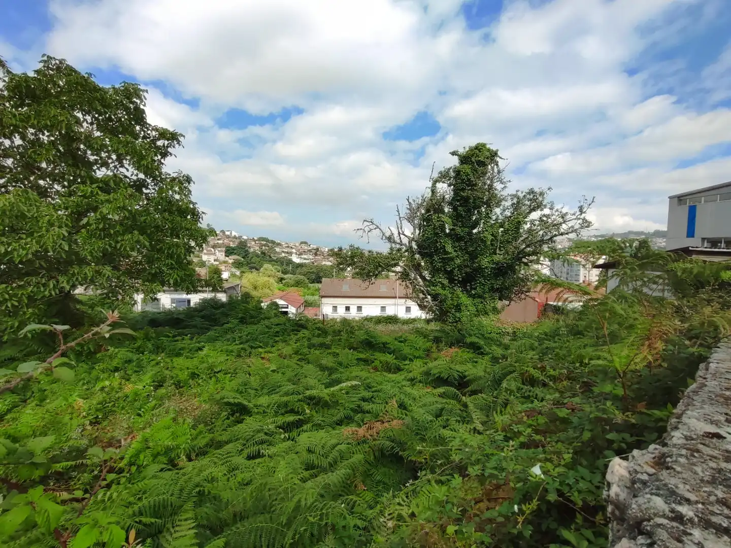 Terreny residencial en venda a Rúa Sardomela, imagen 6