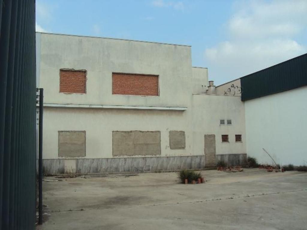 Vista exterior de Nau industrial en venda en El Pedroso