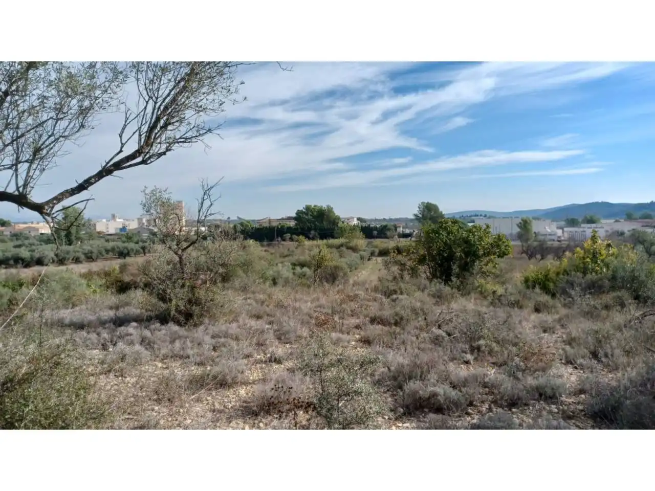 Terrain rustique à vendre à Calle Poligono 22 parcela 415, imagen 3