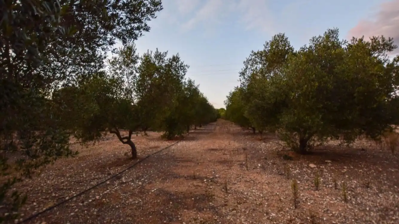 Chalet con piscina en venta en Banyeres del Penedès, imagen 36