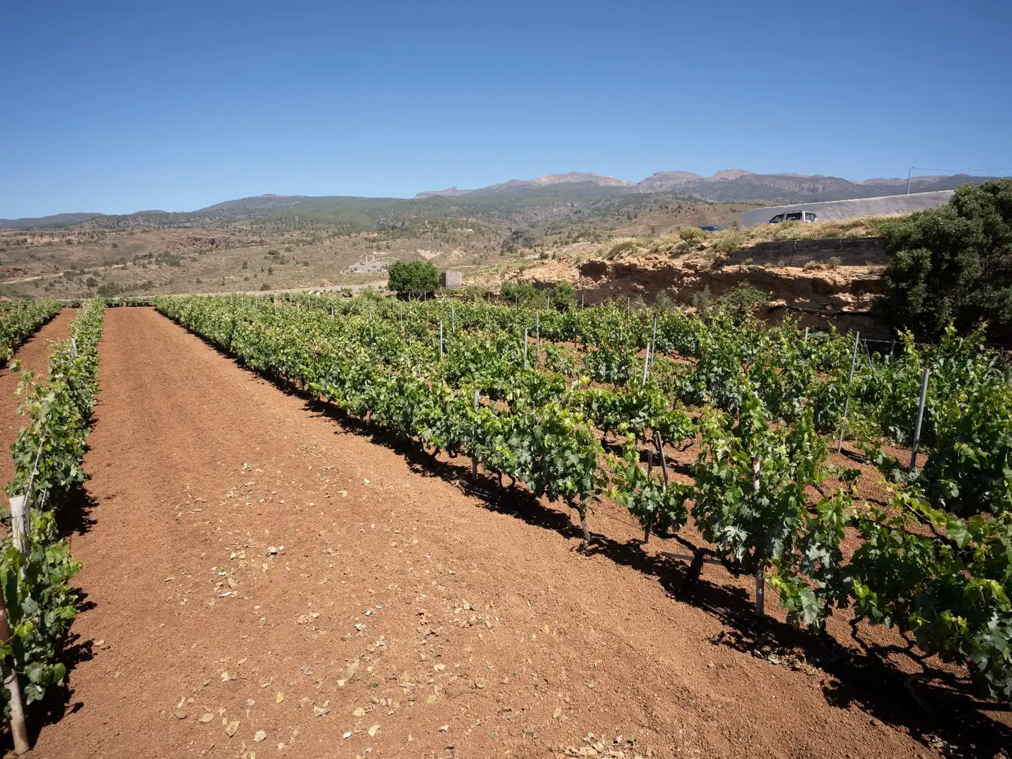 Terreno rustico in vendita a N/A, imagen 16