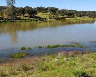 Grundstücke zum verkauf in Puebla de Guzmán