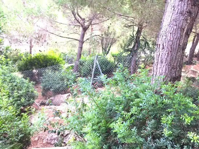 Casa in vendita a La Pedrera - Vessanes, imagen 7