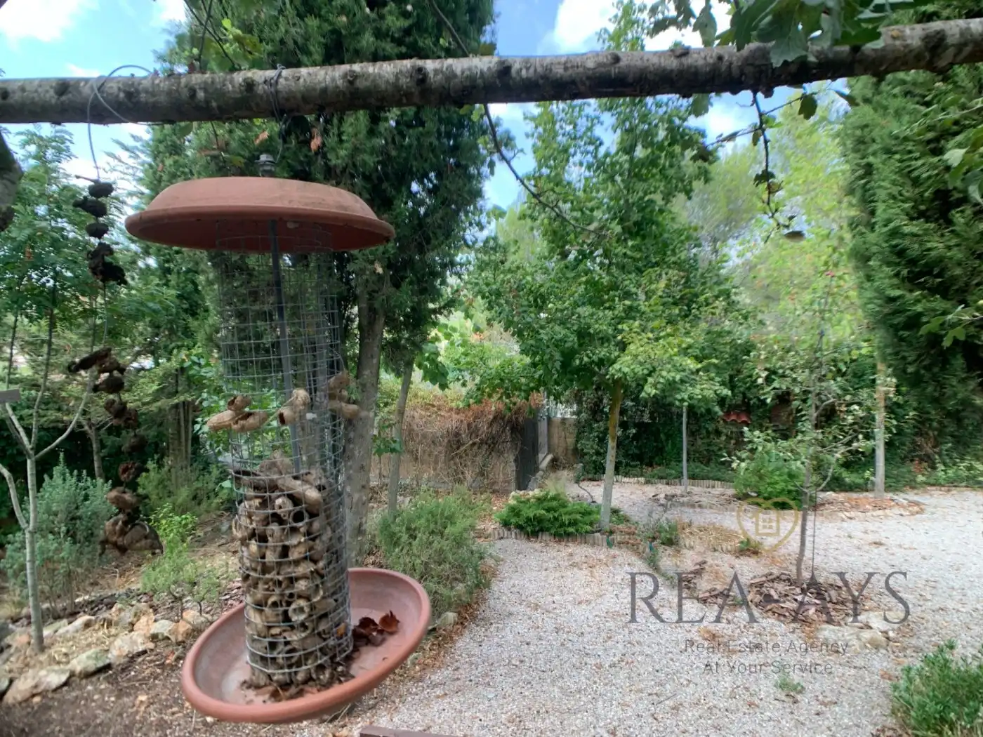 Jardí de Casa o xalet en venda en Olesa de Bonesvalls amb Jardí privat, Terrassa i Traster