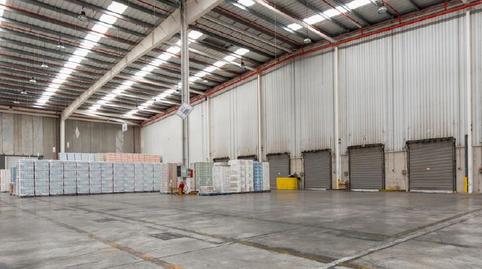 Photo 5 of Industrial buildings to rent in Can Font - Ca n'Avellaneda, Barcelona