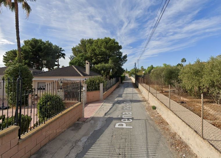 Exterior view of House or chalet for sale in Elche / Elx