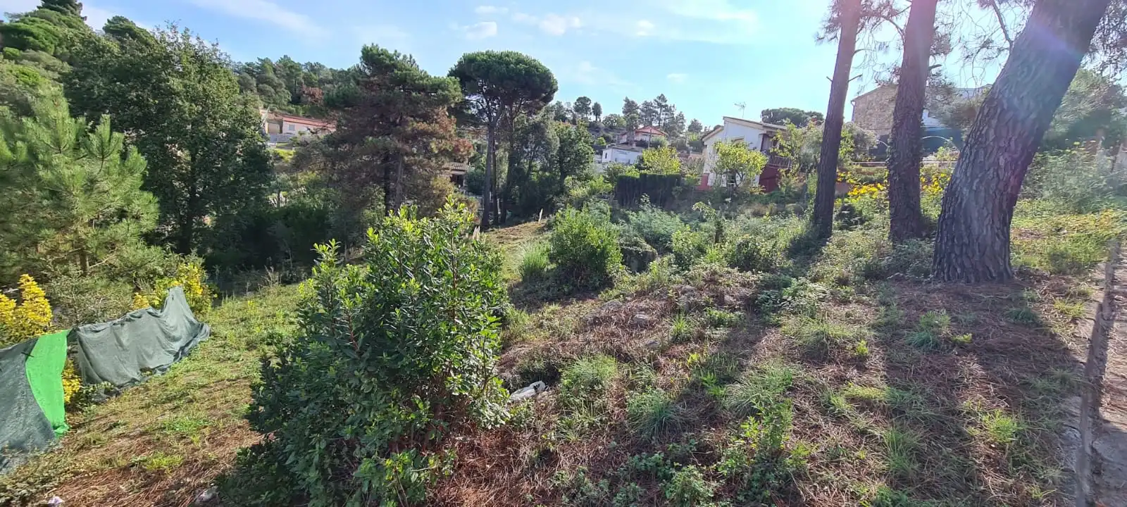 Terrain rustique à vendre à C/ St Antoni, imagen 5
