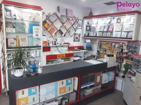 Locale commerciale in vendita a Paseo de Julio Hauzeur, imagen 6