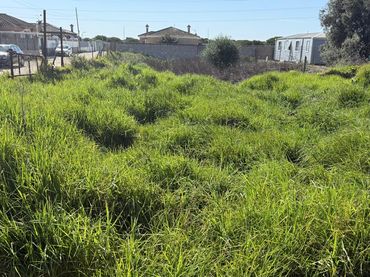 Terreny rústic en venda a Ctra Sanlúcar - Cuatro Pinos