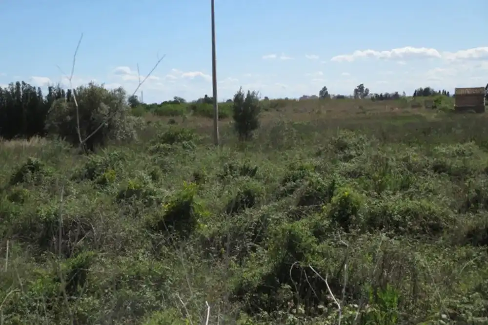Terreny residencial en venda a N/A, imagen 2