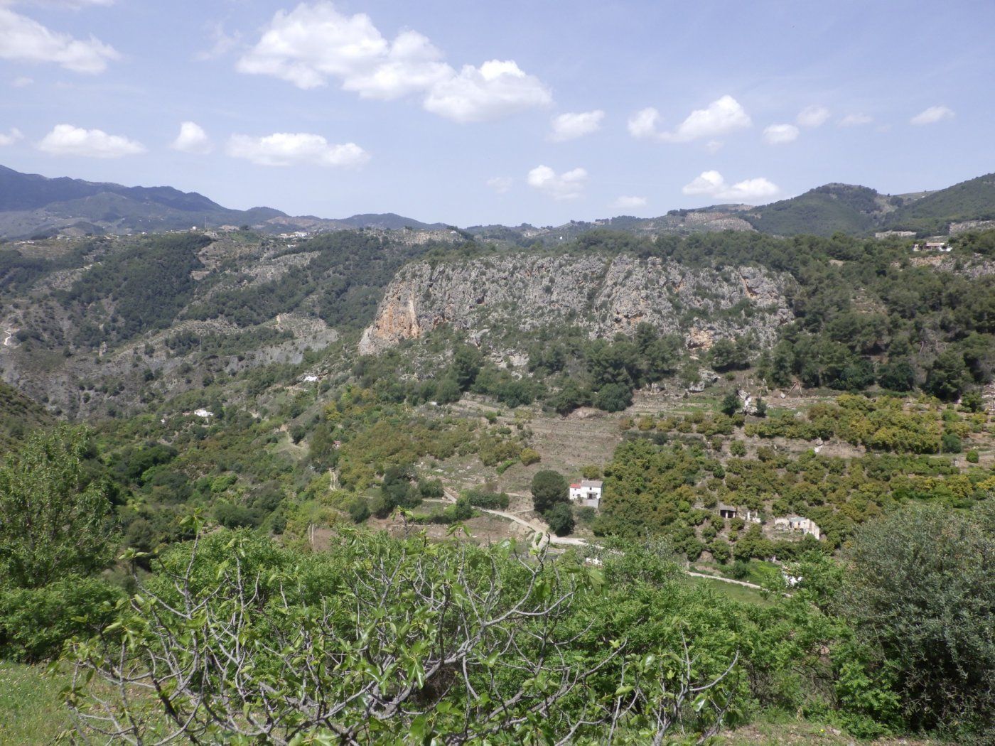 House or chalet for sale in Alozaina