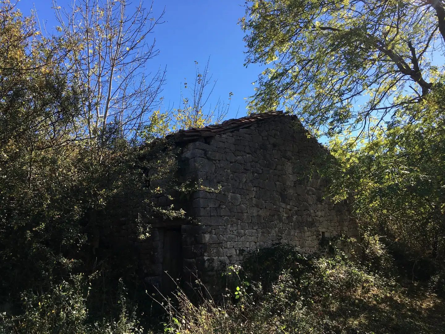 Terreno rustico in vendita a Cangas de Onís, imagen 4